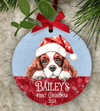 Dog Bauble - Little Mamma Duck