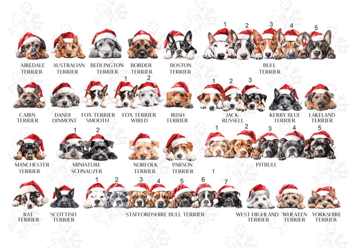 Dog Bauble - Little Mamma Duck
