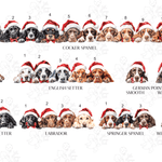 Dog Bauble - Little Mamma Duck