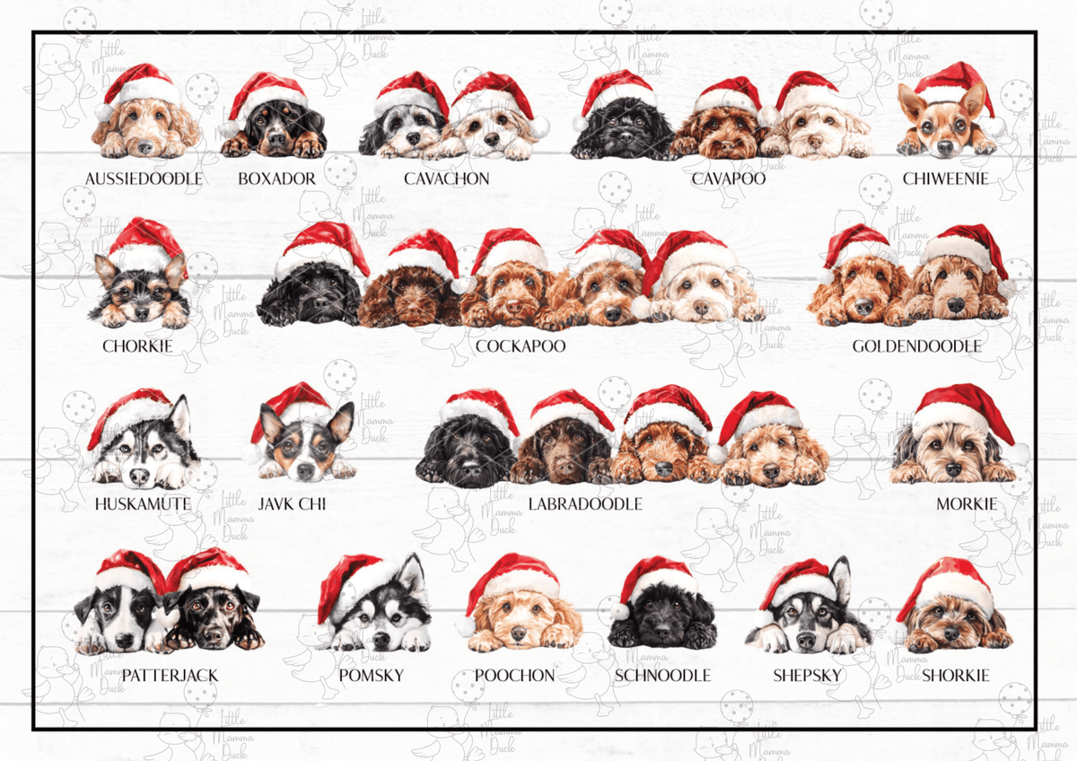 Dog Bauble - Little Mamma Duck